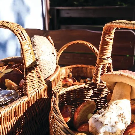 Сasa de vacaciones Lovely In With Kitchen