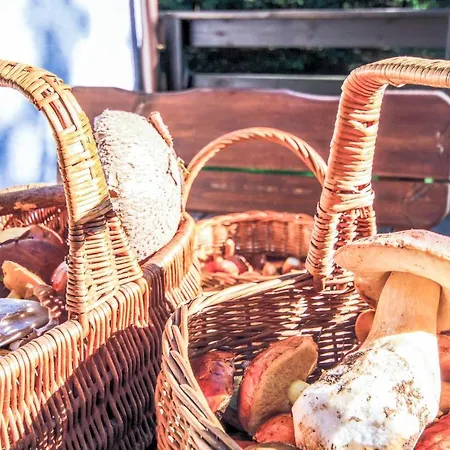 Lovely In With Kitchen Σπίτι διακοπών Swietajno (Szczytno)