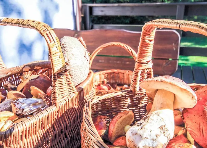 Lovely In With Kitchen Nyaraló Świętajno